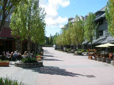 2008whi-5.jpg