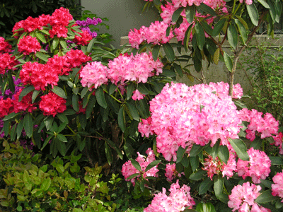 2010.05.20-7.gif