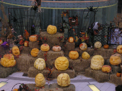 2010.11.01-2.gif