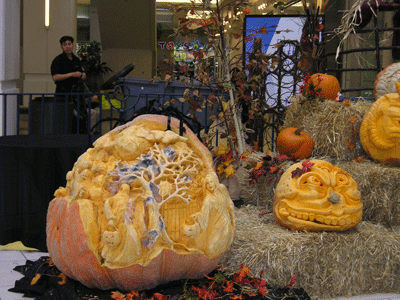 2010.11.01-3.gif