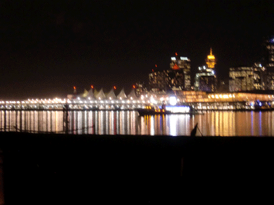 2010.11.11-5.gif