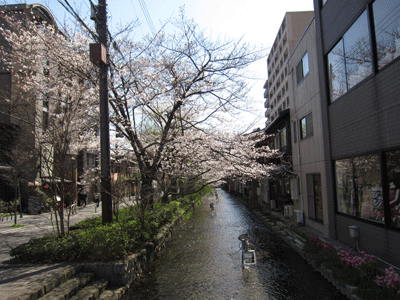 2011.04.06-3.gif