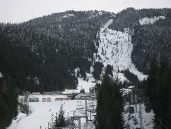 creekside11.gif