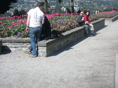 RYOYO2010-10.gif