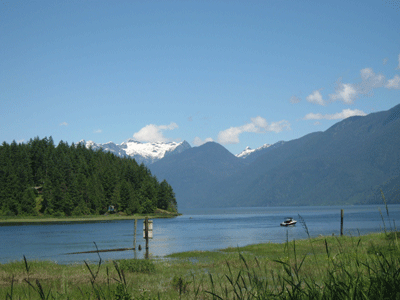 birdwatchin-002.gif