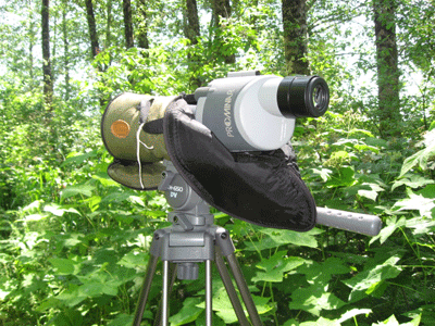 birdwatching-011.gif