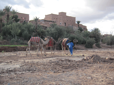 morroco62.gif