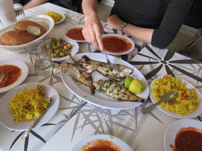 morroco8.gif