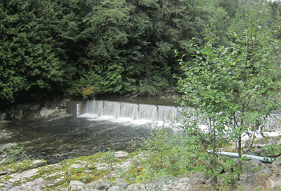 salmonhc10.gif